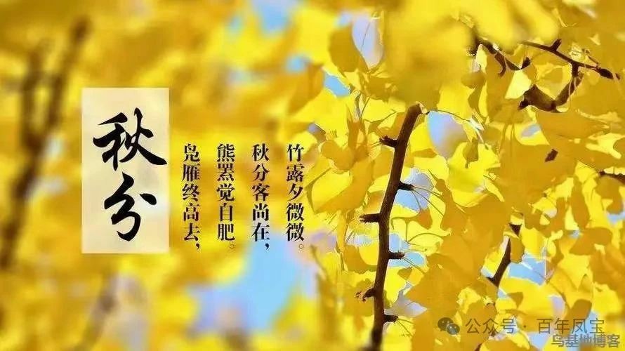 二十四节气｜秋分